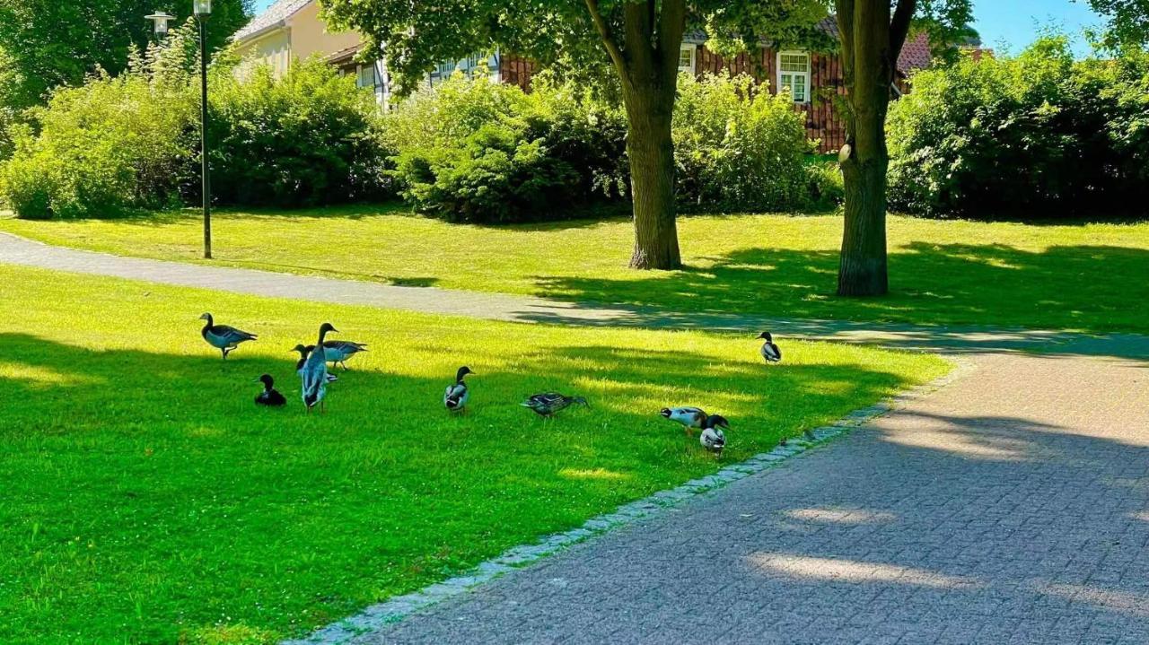 Gaestehaus Ambiente Am Kurpark 巴特索登-阿伦多夫 外观 照片